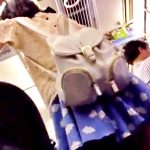 【ガチ映像】おしゃれしてお出かけ中のスレンダーJCちゃん、電車で逆さ撮り盗撮被害にあってしまう